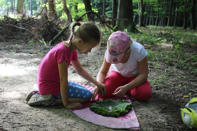 Landart v oboře Hvězda